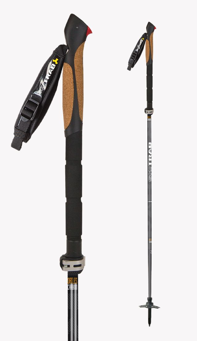 ORTLES CARBON POLES